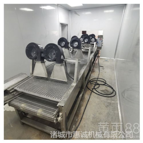 惠誠(chéng)清洗烘干流水線 壽縣新款果脯烘干設(shè)備引領(lǐng)食品干燥新標(biāo)桿